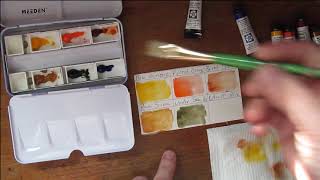 My New Watercolors!  |  Daniel Smith Watercolor Master Artist Set by Prafull Sawant - Swatches