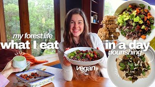 what I eat in a day | cooking in my cabin🌳✨⛅️ (nourishing recipes + ED talk)