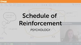 Schedule of Reinforcement | Psychology | Chegg Tutors