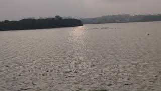 Madiwala Lake - Bangalore BTM 2nd Stage | 6 :00AM