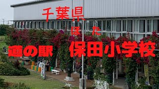 道の駅千葉県保田小学校　教室が食堂や宿泊施設に。直売所　ザフィッシュお土産屋さん、レストラン、オーシャンビューの絶景。久里浜まで行く金谷のフェリー乗り場久里浜40分#鋸山 ＃旅行　＃房総　2022