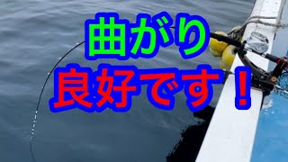 上五島有川湾でヒラマサ落とし込み釣行です。4K