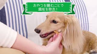 PETKISS　ワンちゃんの歯みがきおやつ／1分32秒／ライオン