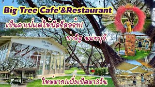 Big Tree Cafe’\u0026 Restaurant คาเฟ่เปิดใหม่(มาก) บรรยากาศดี มีสระน้ำให้เด็กได้สนุกกัน ราคาประหยัด