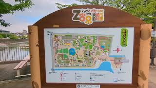 Kyoto City Zoo (Full Tour) - Kyoto Japan July 2024