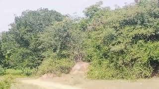 land for sale in Koratagere taluk