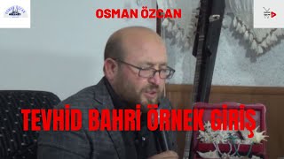 TEVHİD BAHRİ ÖRNEK GİRİŞ