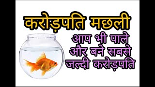 Fish aquarium यह मछली पालकर हर कोई बन रहा करोड़पति अगर आप जानेंगे तो चौक जाएंगे