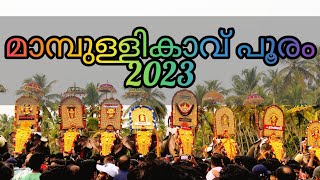 മാമ്പുള്ളികാവ് പൂരം (2023) #pooram2023