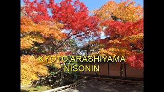 京都嵐山二尊院の紅葉2024年11月30日＃KYOTO＃ARASHIYAMA＃NISONIN＃京都嵐山二尊院＃嵐山＃二尊院＃観光＃紅葉