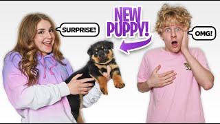 SURPRISING MY BOYFRIEND WITH A NEW PUPPY **Cute**πΆπ| Piper Rockelle