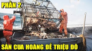 SĂN CUA HOÀNG ĐẾ TRIỆU ĐÔ PHẦN 2 | REVIEW GIẢI TRÍ ĐỜI SỐNG