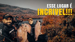 Pesca Sub em um dos Lugares mais Bonitos do Brasil