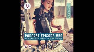 #50 - 3 Unexpected Life Lessons from Dog Breeding