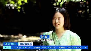 [正点财经]暑期消夏游 重庆：原生态峡谷带热避暑经济|CCTV财经