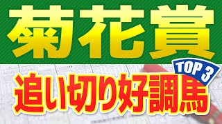 菊花賞2022【追い切り】抜群の動きを見せた「トップ３」はこの馬だ🐴 一週前と最終追い切り、馬体映像や共同会見のインタビューを分析した競馬予想