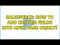 Salesforce: How to add custom fields into Apex Page object?