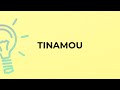 What is the meaning of the word TINAMOU?