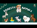 Domestic Animals Names | Meet Domestic Animals 🐶🐱 Fun Learning for Kids | Afsume World