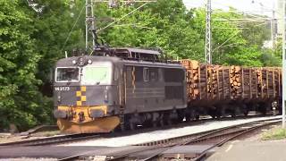 Cargo Net in Halden! | El14 with wood wagons!