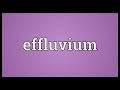 Effluvium Meaning