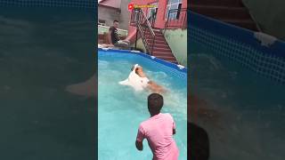 NGAKAK! SEEKOR ANJING DI SERANG BALIK SOANG PUTIH DI KOLAM #animals #funny