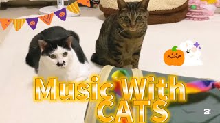 【ゆっくりねこやすみ🐈♫】2024 Oct. MUSIC With CATS