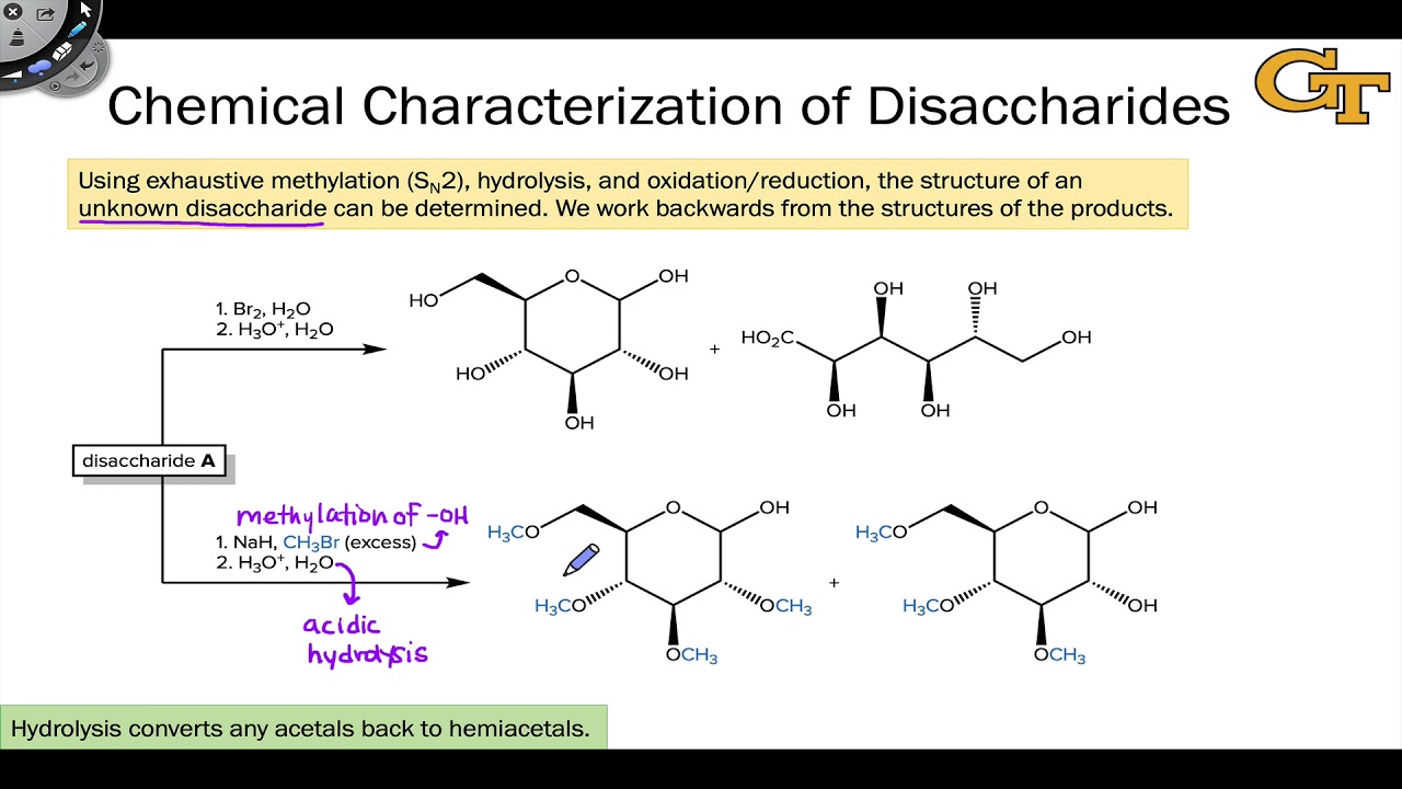 Disaccharide Chemical Structure