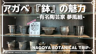 観葉植物のおしゃれな鉢でおすすめは？アガベ｜植木鉢｜多肉植物｜グラキリス｜夢風組｜浮世絵｜陶器｜磁器