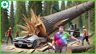 Most Big Chainsaw Cutting Tree Machines | Biggest Heavy Equipment Machines