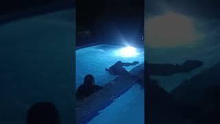 night swimming ( hot spring) #viral #shortvideo