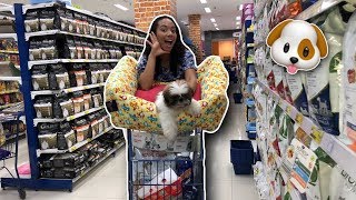 COMPRINHAS PARA O MEU CACHORRO