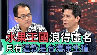 【精華版】水果王國浪得虛名？只有這款是台灣原生種