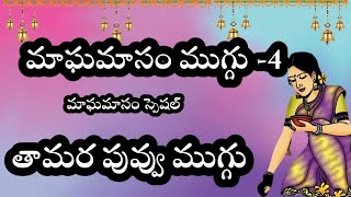 మాఘమాసం ముగ్గులు|| ముగ్గులుసిరీస ||#maghamasam #maghamasammuggulu #muggulu #muggu #simple #easymuggu