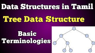 #15 Tree Data Structures in Tamil | Basic Terminologies | Conquer victory