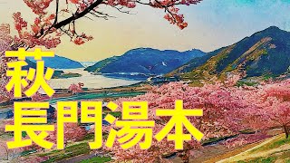 【バーチャル旅行】萩・長門湯本　どんどん　萩しーまーと　椿まつり　萩焼　長門湯本温泉