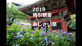 2019 雨引観音(雨引山楽法寺)あじさい祭４Ｋ　Amabiki kan'non Hydrangea festival