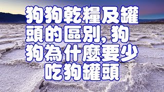 狗狗乾糧及罐頭的區別,狗狗為什麼要少吃狗罐頭