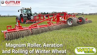 Magnum Roller, Aeration and Rolling of Winter Wheat Video | Wox Agri Services