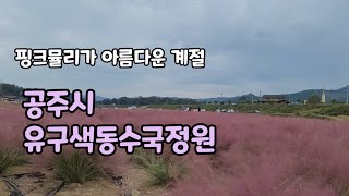 today view 유유자적 예쁜동네 카페차리면 어떨까요?핑크뮬리가 아름다운 공주 유구읍 유구색동수국정원