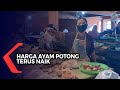 Harga Ayam Potong di Banjarmasin Meroket, Perkilogram Capai Harga Rp. 30.000,-