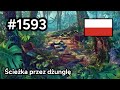 #1593 🇵🇱 (📕7-📄24-3) - Ścieżka przez dżunglę - June's Journey