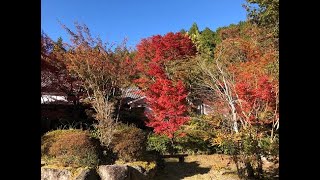 八女市黒木町（グリーンピア八女の紅葉）の紹介　No1