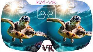 3D VR VIDEO 566 4K VR Video