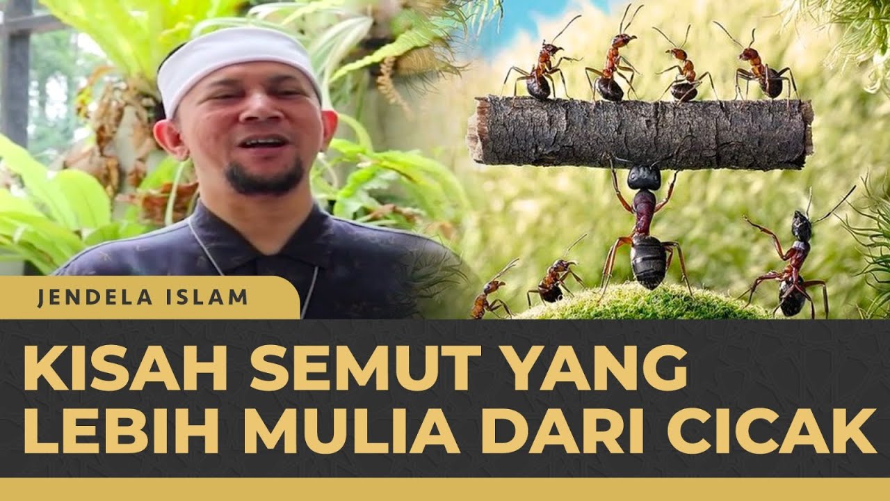 Inilah Hewan-Hewan Yang Boleh Dibunuh Dan Tidak Boleh Dalam Islam ...