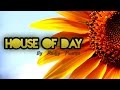 Mi Casa - Turn You On