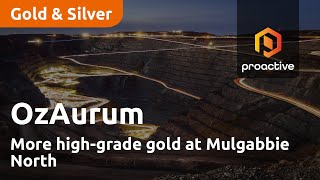 OzAurum Resources welcomes more high-grade gold at Mulgabbie North