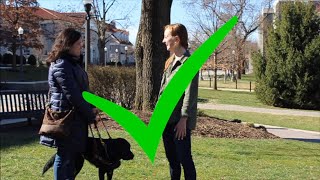 JMU Campus Inclusivity Video Project