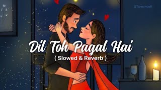 Dil To Pagal Hai - Slowed & Reverb | Udit Narayan | Lata Mangeshkar | 90s  Hindi Song Lofi