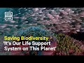 Earth Losing Biodiversity at Alarming Rate